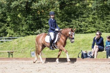 Bild 538 - Pony Akademie Turnier